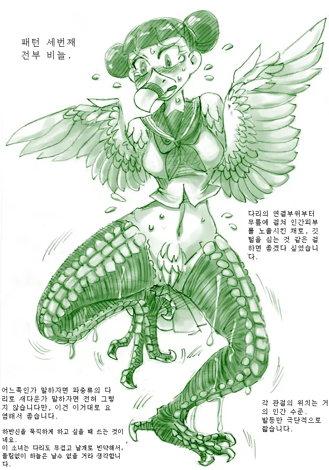 Tori TF Ni Kansuru Kousatsu To Renshuu | Study And Practice About Bird TF